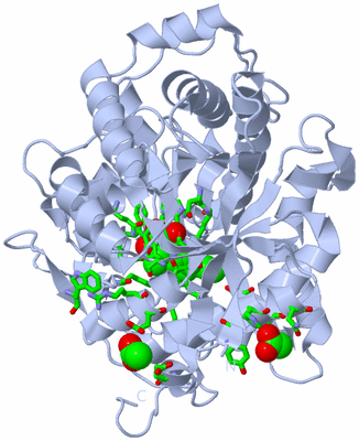 Image Biol. Unit 1 - sites