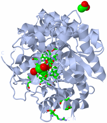 Image Biol. Unit 1 - sites