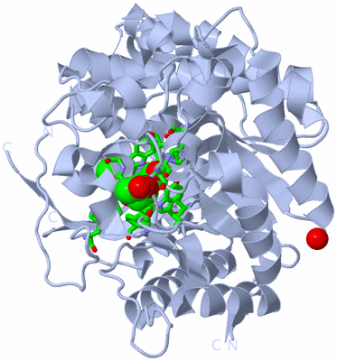 Image Biol. Unit 1 - sites