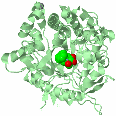 Image Biological Unit 2