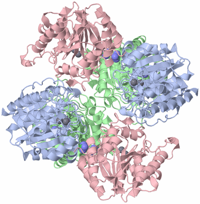 Image Biological Unit 1