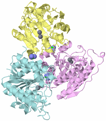 Image Biological Unit 2