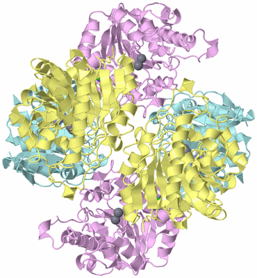 Image Biological Unit 3