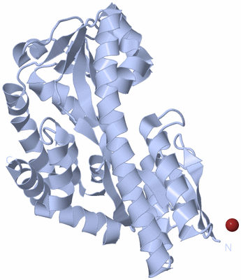 Image Biological Unit 1