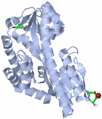 Image Biol. Unit 1 - sites