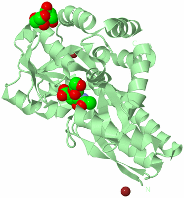 Image Biological Unit 2