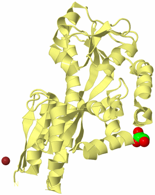 Image Biological Unit 4