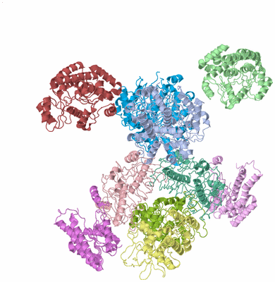 Image Asym./Biol. Unit