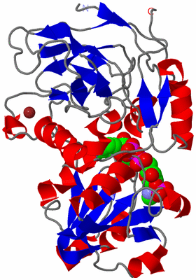 Image Asym./Biol. Unit