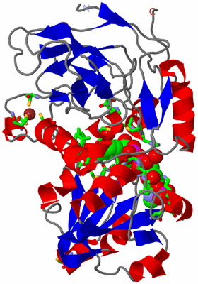 Image Asym./Biol. Unit - sites