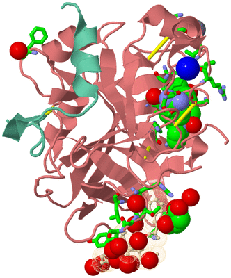 Image Asym./Biol. Unit - sites