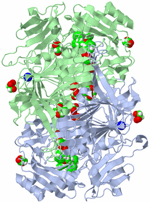 Image Asym./Biol. Unit