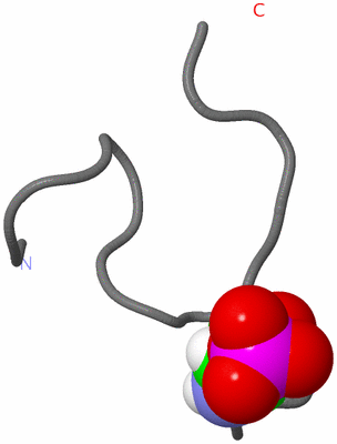 Image NMR Structure - model 1