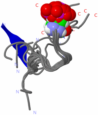 Image NMR Structure - all models