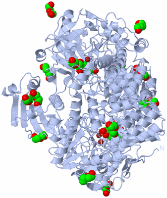 Image Biological Unit 1