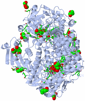 Image Biol. Unit 1 - sites