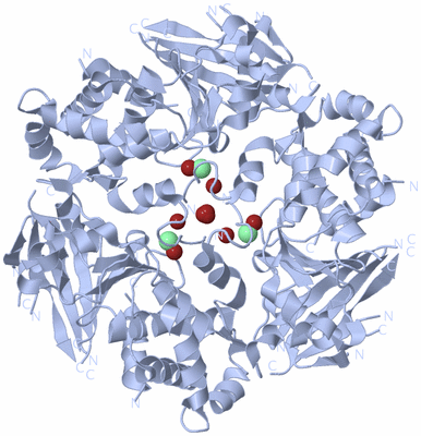 Image Biological Unit 1