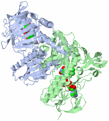 Image Biological Unit 1