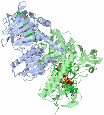 Image Biol. Unit 1 - sites