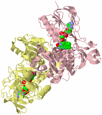 Image Biological Unit 2