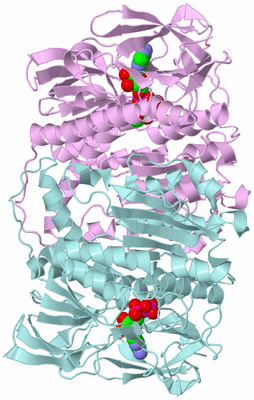 Image Biological Unit 3