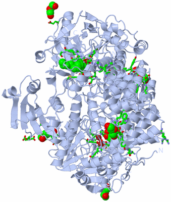 Image Biol. Unit 1 - sites