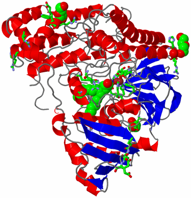 Image Asym. Unit - sites