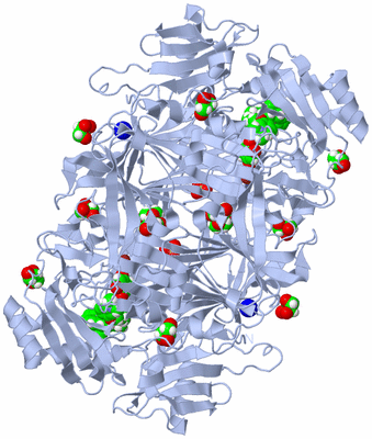 Image Biological Unit 1