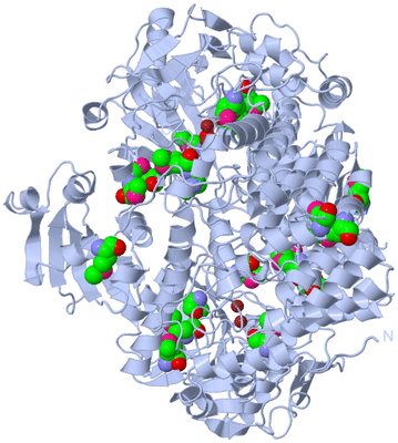 Image Biological Unit 1