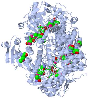 Image Biol. Unit 1 - sites