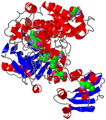 Image Asym. Unit - sites