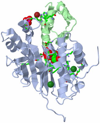 Image Asym./Biol. Unit - sites