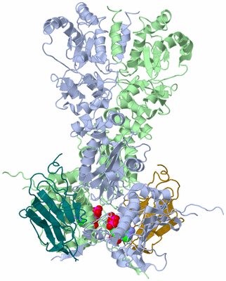 Image Asym./Biol. Unit