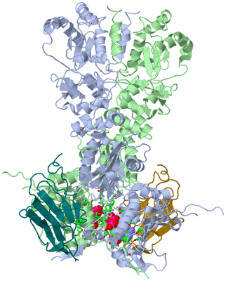 Image Asym./Biol. Unit - sites