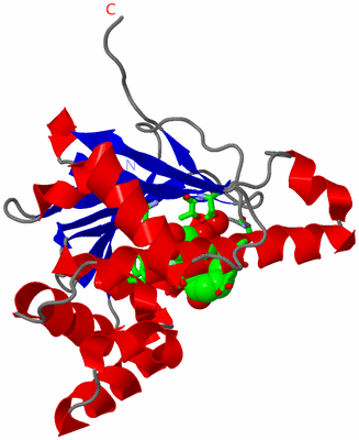 Image Asym. Unit - sites