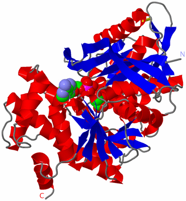 Image Asym./Biol. Unit