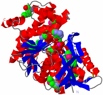 Image Asym./Biol. Unit