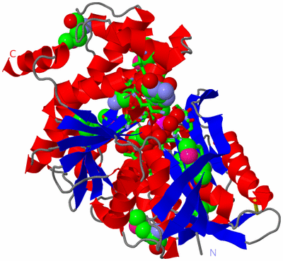 Image Asym./Biol. Unit - sites