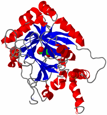 Image Asym./Biol. Unit