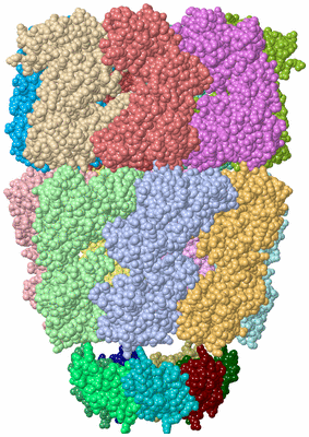 Image Asym./Biol. Unit