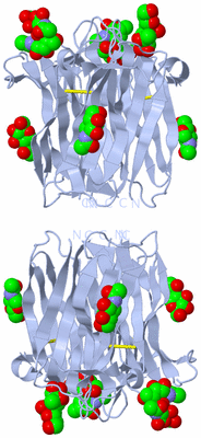 Image Biological Unit 1