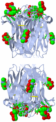 Image Biol. Unit 1 - sites