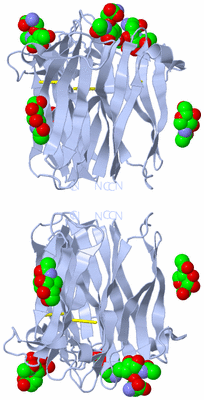 Image Biological Unit 1