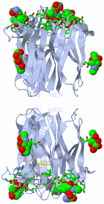 Image Biol. Unit 1 - sites