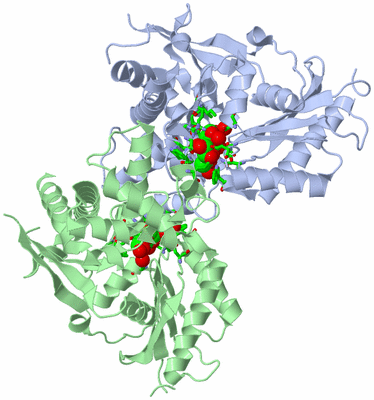 Image Biol. Unit 1 - sites