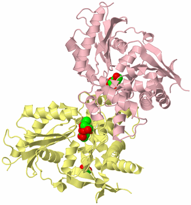 Image Biological Unit 2