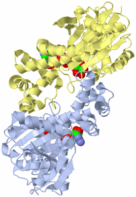 Image Biological Unit 1