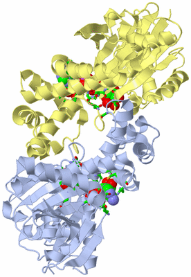 Image Biol. Unit 1 - sites