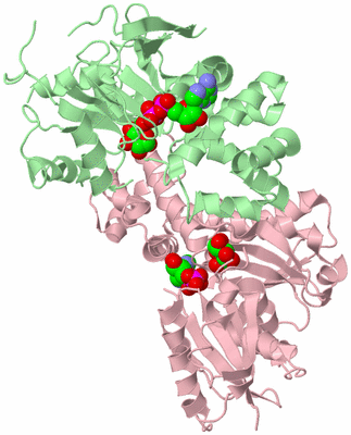 Image Biological Unit 2