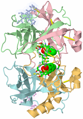 Image Asym./Biol. Unit - sites